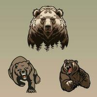 3 oso pardo oso gratis vector Arte