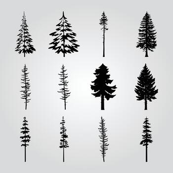 A collection of pine trees with different shapes and sizes. vector