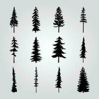 A collection of pine trees with different shapes and sizes. vector