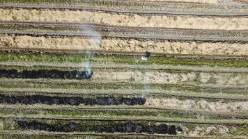 Aerial view look down farmer spray insecticide at open burning straw video