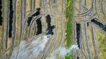 Aerial ascending look down open burn at paddy field video