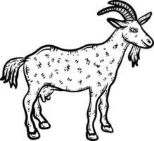 Goat Animal Coloring Page for Adults vector