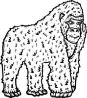 Gorilla Animal Coloring Page for Adults vector
