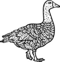 Goose Animal Coloring Page for Adults vector