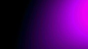 Glow purple light leak animation background video