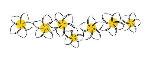 Frangipani or plumeria exotic summer flower. Engraved frangipani isolated in white background. Vector illustration