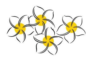 Frangipani or plumeria exotic summer flower. Engraved frangipani isolated in white background. Vector illustration