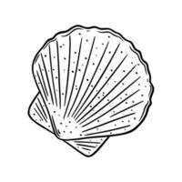 Scallop shell logo. Mediterranean seashell sketch. Vector illustration