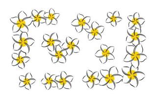 Frangipani or plumeria exotic summer flower. Engraved frangipani isolated in white background. Vector illustration