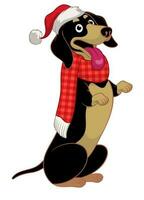 Standing Dachshund Dog Wearing Christmas Accessories vector