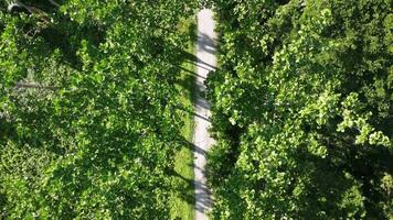 Aerial view look down the rural road video