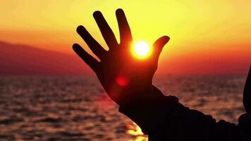 meu mão às a vermelho oceano pôr do sol video