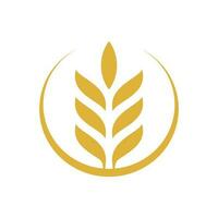 Wheat vector logo