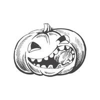 Vector hand drawn Halloween  Illustration. Detailed retro style hand-drawn funny and scary pumpkin sketch isolated on white background. Vintage sketch element for labels, packaging and cards design.