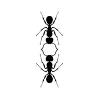 Pair of the Ant Silhouette for Art Illustration, Logo, Pictogram, Website, or Graphic Design Element. Vector Illustration