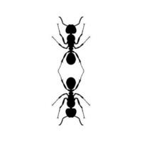 Pair of the Ant Silhouette for Art Illustration, Logo, Pictogram, Website, or Graphic Design Element. Vector Illustration