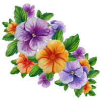 bouquet of colorful pansies watercolor illustration png