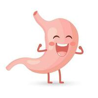 Healthy cheerful human stomach character laughs with happiness. Healthy diet. Anatomy of the digestive system. Vector in flat style