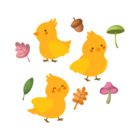 Cute Chicks With Mushroom Acorn and Leaves png