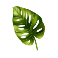 Tropical leaves in watercolor . png