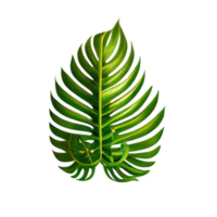 Tropical leaves in watercolor . png