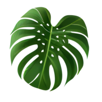 Tropical leaves in watercolor . png