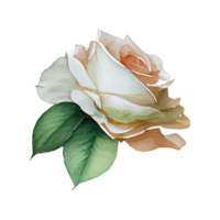 Rose acquerello . ai generato png