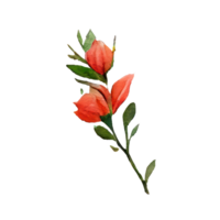 Rose acquerello . ai generato png