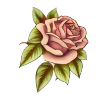 Rose acquerello . ai generato . ai generato png