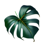 tropical hojas en acuarela . ai generado png