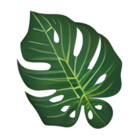 Tropical leaves in watercolor . png