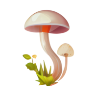 mushroom cartoon style . png