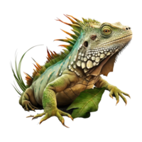 iguana . ai generato png