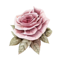 rosas aguarela . ai gerado png