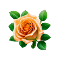 des roses aquarelle . ai généré . ai généré png