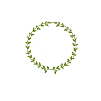 Abstract leaf wreath png