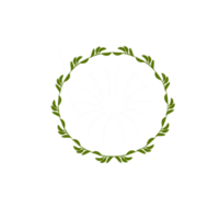 resumen hoja guirnalda png