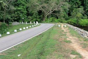 Winding curve road in a green forest photo