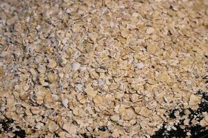 Rolled oats background. Organic diet cereal healthy food photo