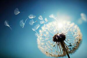 Flying Dandelion seeds in the morning sunlight blowing away in the wind across a blue sky. photo