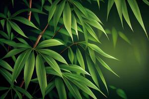 Green bamboo background fresh leaves on tree as nature ecology and environment concept. photo