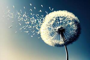 Dandelion with seeds blowing away in the wind across a blue sky. photo