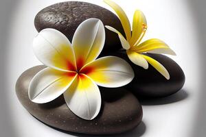 Still life spa setting with pink stone . photo
