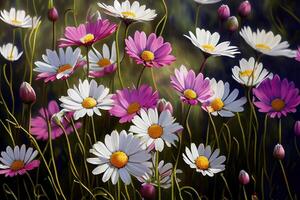 Wild daisy flowers growing on meadow. Meadow with lots of white and pink. photo