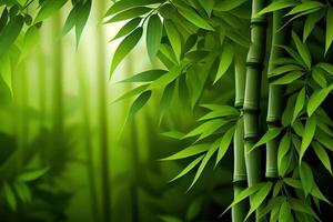 Green bamboo background fresh leaves on tree as nature ecology and environment concept. photo