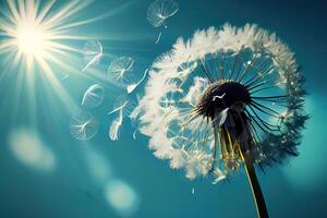 Dandelion with seeds blowing away in the wind across a blue sky. photo