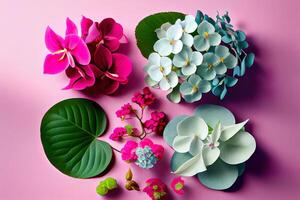 Flat lay pink orchids and hydrangea, bright nice color. photo