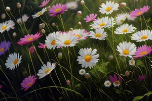 a lot of colorful bloom floral. photo