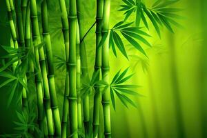 green bamboo grass close up. photo