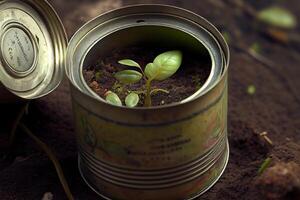 New sprout inside an old tin can. photo